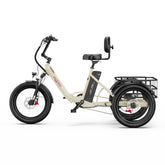 OneSport OT30 Pro Electric Cargo Tricycle - PREORDER - ETA NOVEMBER END.